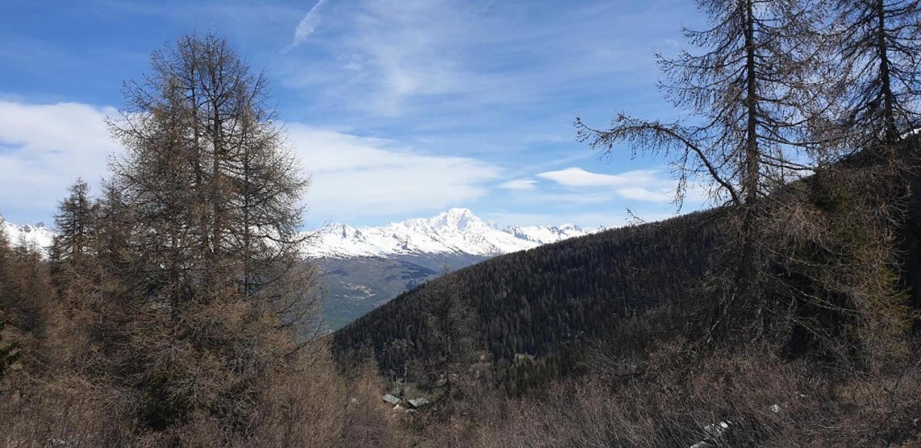 Residence Plagne Lauze - Maeva Home - Appartement 2 Pieces 5 Personnes - Confort Mae-9202 Macot-la-Plagne Εξωτερικό φωτογραφία